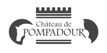 3D AR Réalité Augmentée Limoges France chateau de pompadour